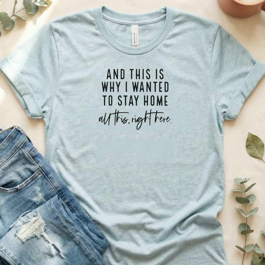 And This Is Why I Wanted To Stay Home T‑Shirt