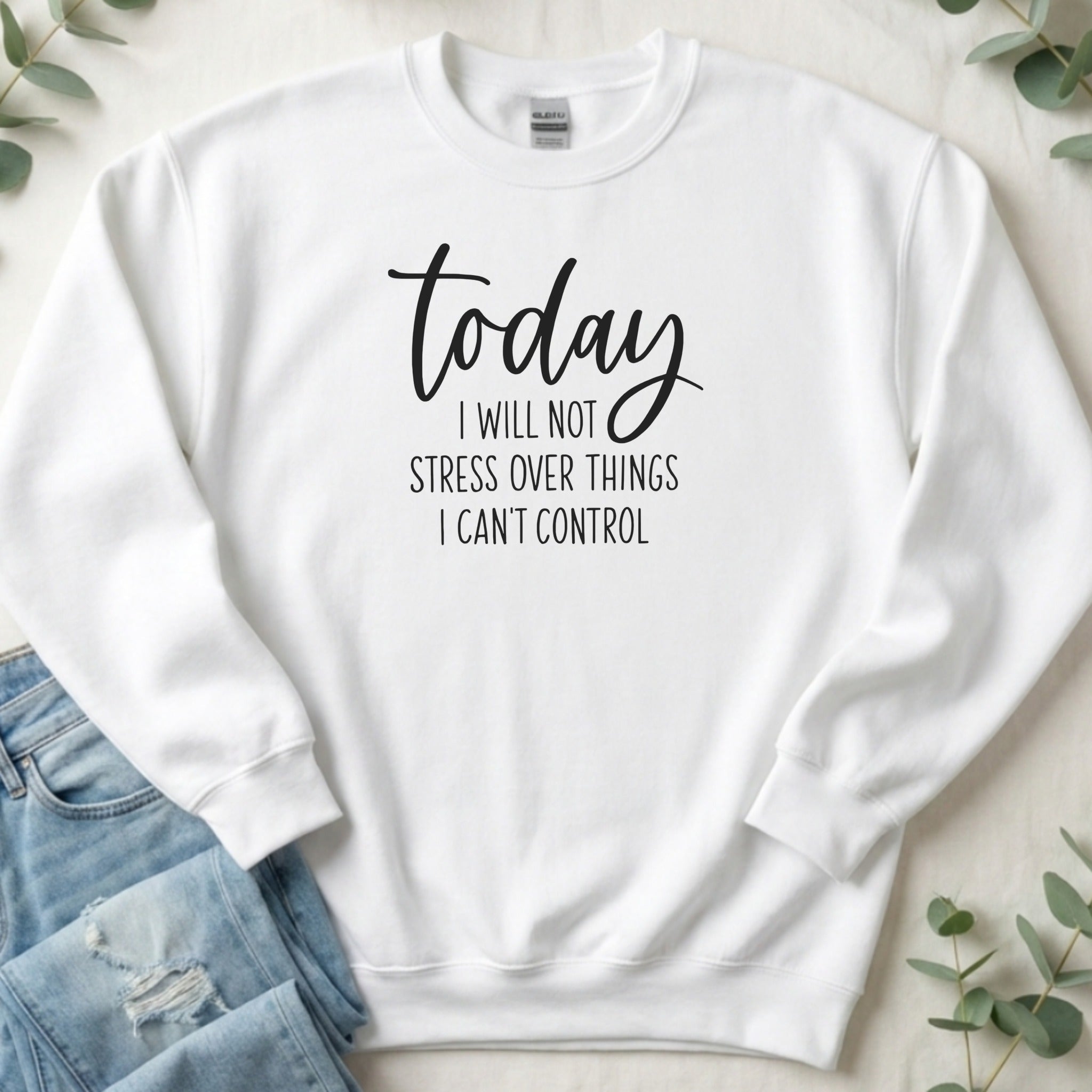 Today I Will Not Stress Over Things I Can't Control Sweatshirt