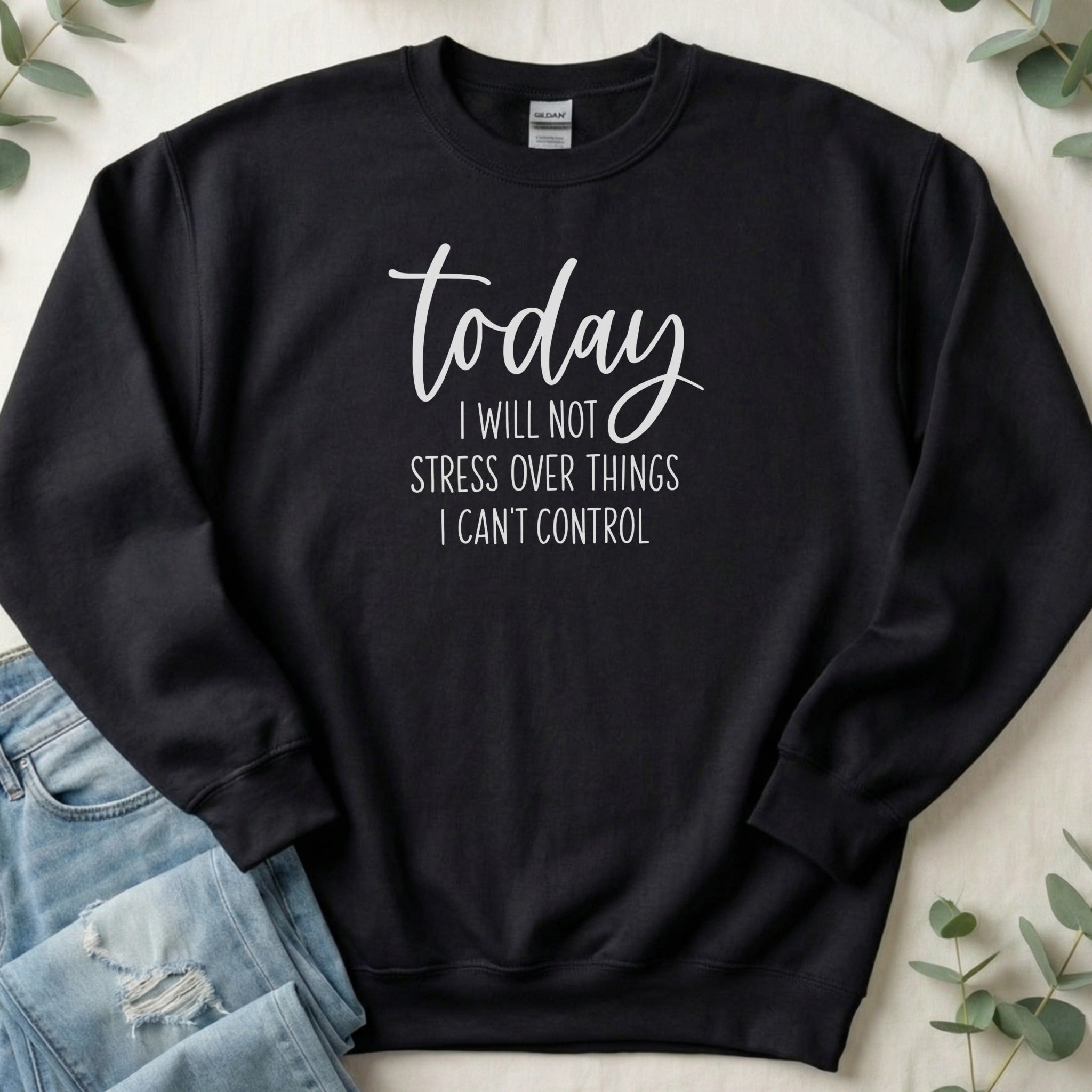 Today I Will Not Stress Over Things I Can't Control sweatshirt
